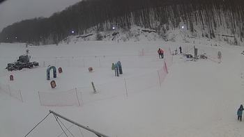 Ведмежа 13 січня 2019 року, 2019-01-13 10:00