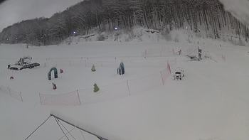 Ведмежа 14 січня 2019 року, 2019-01-14 10:00