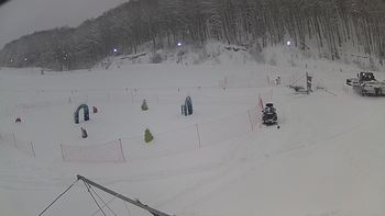 Ведмежа 14 січня 2019 року, 2019-01-14 13:00
