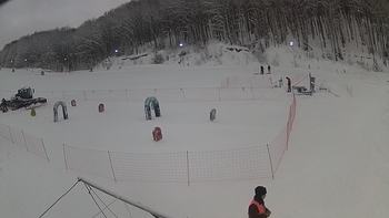 Ведмежа 15 січня 2019 року, 2019-01-15 10:00