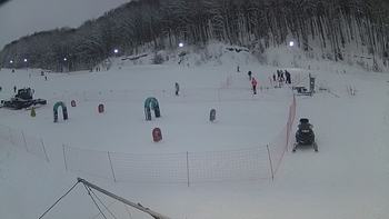 Ведмежа 15 січня 2019 року, 2019-01-15 16:00