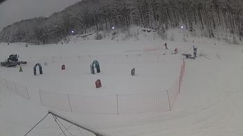 Ведмежа 16 січня 2019 року, 2019-01-16 10:00