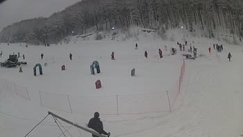 Ведмежа 16 січня 2019 року, 2019-01-16 13:00