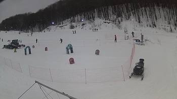 Ведмежа 17 січня 2019 року, 2019-01-17 10:00