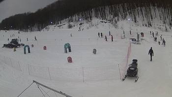 Ведмежа 17 січня 2019 року, 2019-01-17 13:00
