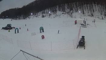 Ведмежа 17 січня 2019 року, 2019-01-17 16:00