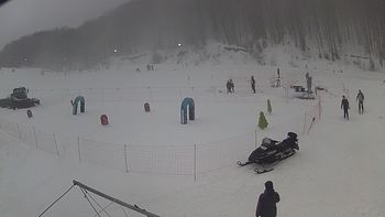 Ведмежа 18 січня 2019 року, 2019-01-18 13:00