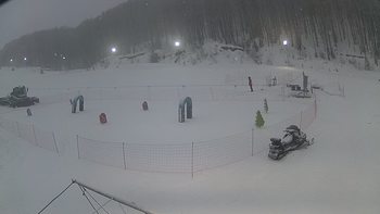 Ведмежа 18 січня 2019 року, 2019-01-18 16:00