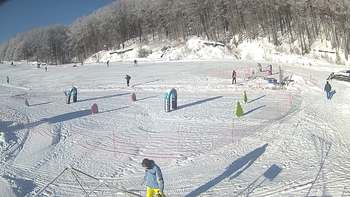 Ведмежа 19 січня 2019 року, 2019-01-19 10:00