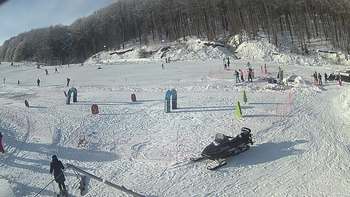 Ведмежа 19 січня 2019 року, 2019-01-19 13:00