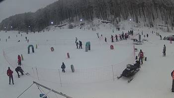 Ведмежа 20 січня 2019 року, 2019-01-20 16:00