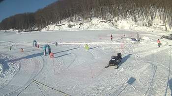Ведмежа 21 січня 2019 року, 2019-01-21 10:00