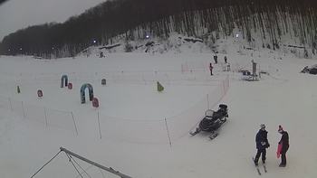 Ведмежа 22 січня 2019 року, 2019-01-22 13:00