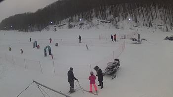 Ведмежа 22 січня 2019 року, 2019-01-22 16:00