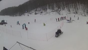 Ведмежа 23 січня 2019 року, 2019-01-23 13:00