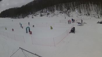 Ведмежа 24 січня 2019 року, 2019-01-24 10:00