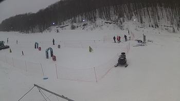 Ведмежа 26 січня 2019 року, 2019-01-26 10:00