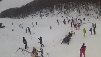 Ведмежа 26 січня 2019 року, 2019-01-26 13:00