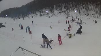 Ведмежа 26 січня 2019 року, 2019-01-26 16:00