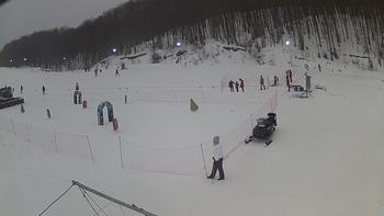 Ведмежа 27 січня 2019 року, 2019-01-27 10:00