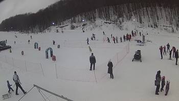 Ведмежа 27 січня 2019 року, 2019-01-27 13:00
