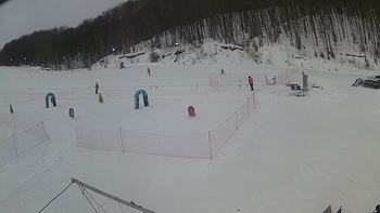 Ведмежа 28 січня 2019 року, 2019-01-28 10:00
