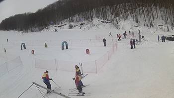Ведмежа 28 січня 2019 року, 2019-01-28 13:00