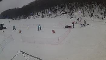 Ведмежа 29 січня 2019 року, 2019-01-29 10:00