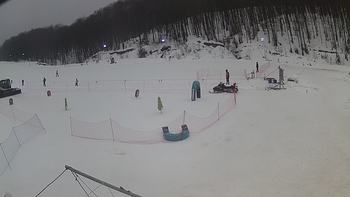 Ведмежа 29 січня 2019 року, 2019-01-29 13:00
