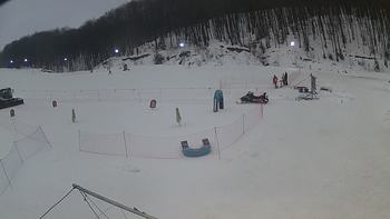 Ведмежа 29 січня 2019 року, 2019-01-29 16:00