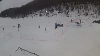Ведмежа 30 січня 2019 року, 2019-01-30 10:00