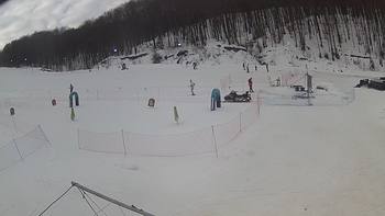 Ведмежа 30 січня 2019 року, 2019-01-30 13:00