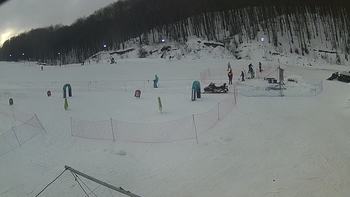 Ведмежа 30 січня 2019 року, 2019-01-30 16:00