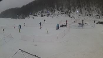 Ведмежа 31 січня 2019 року, 2019-01-31 10:00