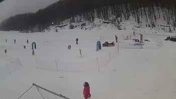 Ведмежа 31 січня 2019 року, 2019-01-31 13:00