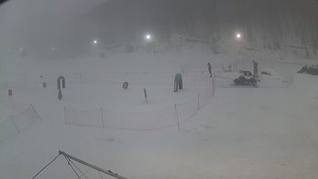 Ведмежа 31 січня 2019 року, 2019-01-31 16:00