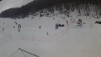 Ведмежа 1 лютого 2019 року, 2019-02-01 13:00