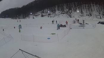 Ведмежа 1 лютого 2019 року, 2019-02-01 16:00
