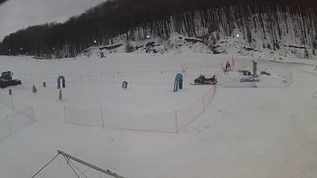 Ведмежа 3 лютого 2019 року, 2019-02-03 10:00