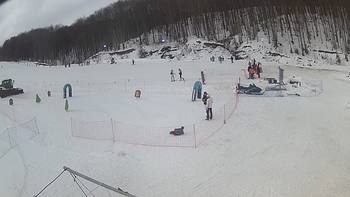 Ведмежа 3 лютого 2019 року, 2019-02-03 13:00