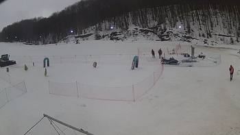 Ведмежа 4 лютого 2019 року, 2019-02-04 10:00