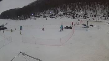 Ведмежа 4 лютого 2019 року, 2019-02-04 13:00