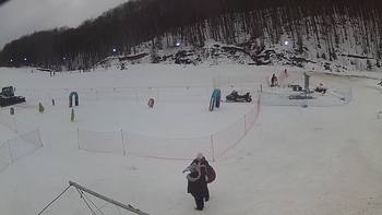 Ведмежа 4 лютого 2019 року, 2019-02-04 16:00