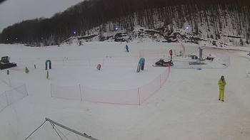 Ведмежа 5 лютого 2019 року, 2019-02-05 10:00