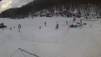 Ведмежа 5 лютого 2019 року, 2019-02-05 16:00
