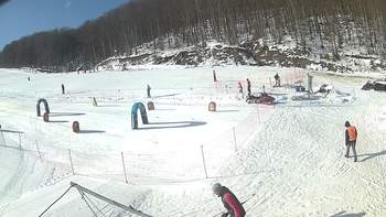Ведмежа 6 лютого 2019 року, 2019-02-06 13:00