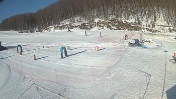 Ведмежа 7 лютого 2019 року, 2019-02-07 10:00