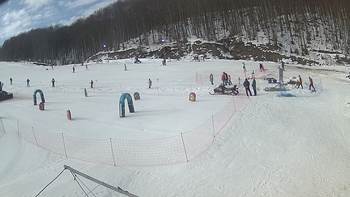 Ведмежа 7 лютого 2019 року, 2019-02-07 13:00