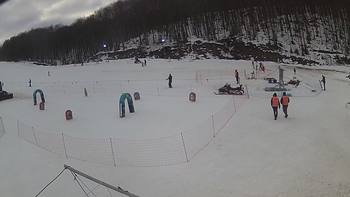 Ведмежа 7 лютого 2019 року, 2019-02-07 16:00
