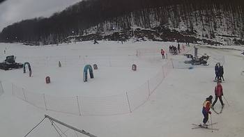 Ведмежа 8 лютого 2019 року, 2019-02-08 10:00